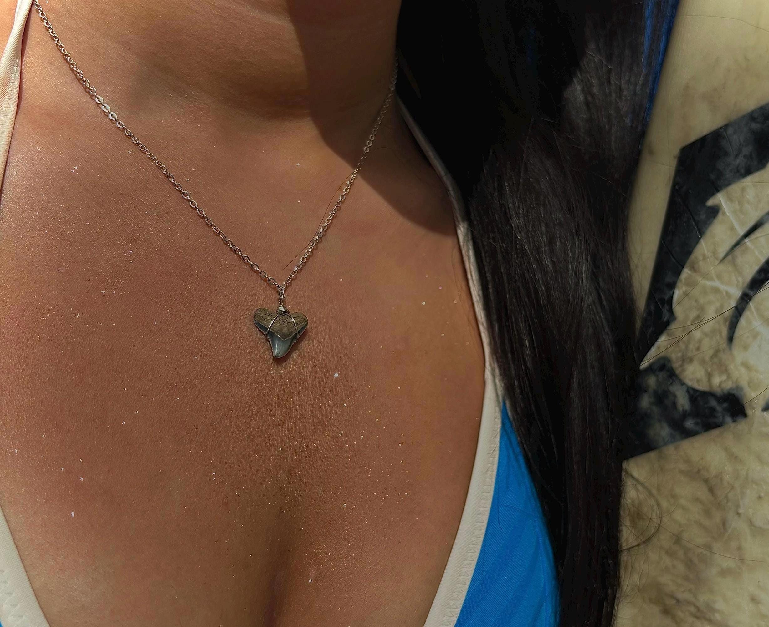 Shark Tooth Necklace