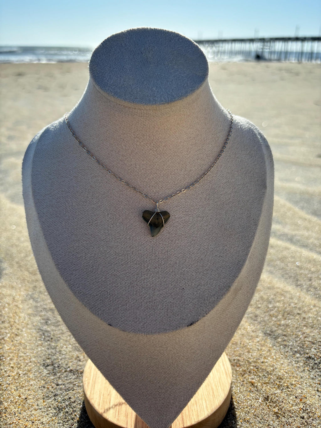 Shark Tooth Necklace