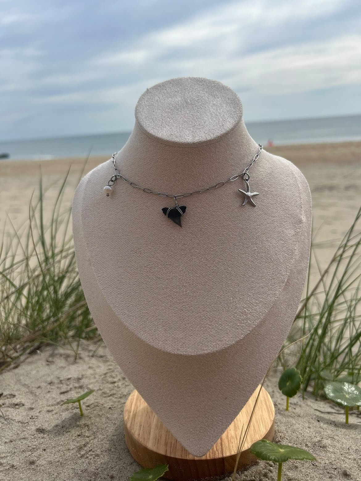 Shark Tooth Charm Necklace