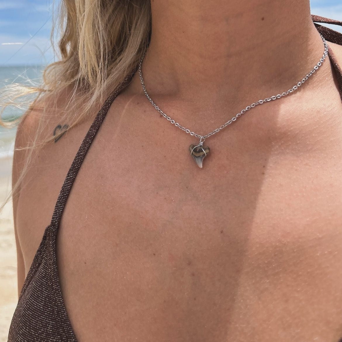 Small Shark Tooth Chain Necklace